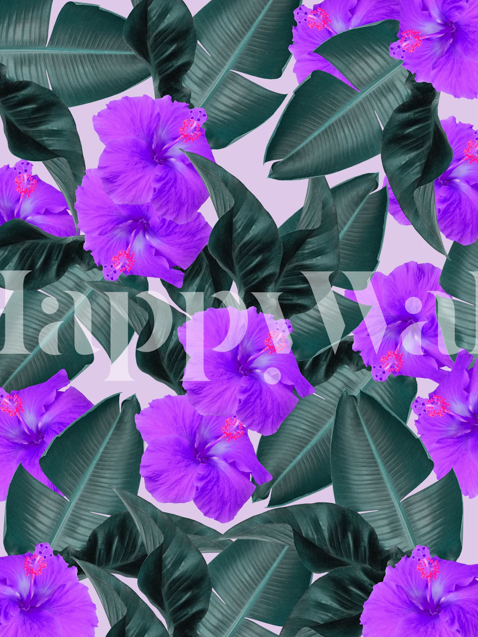 Tropical hibiscus flowers and large green leaves wallpaper