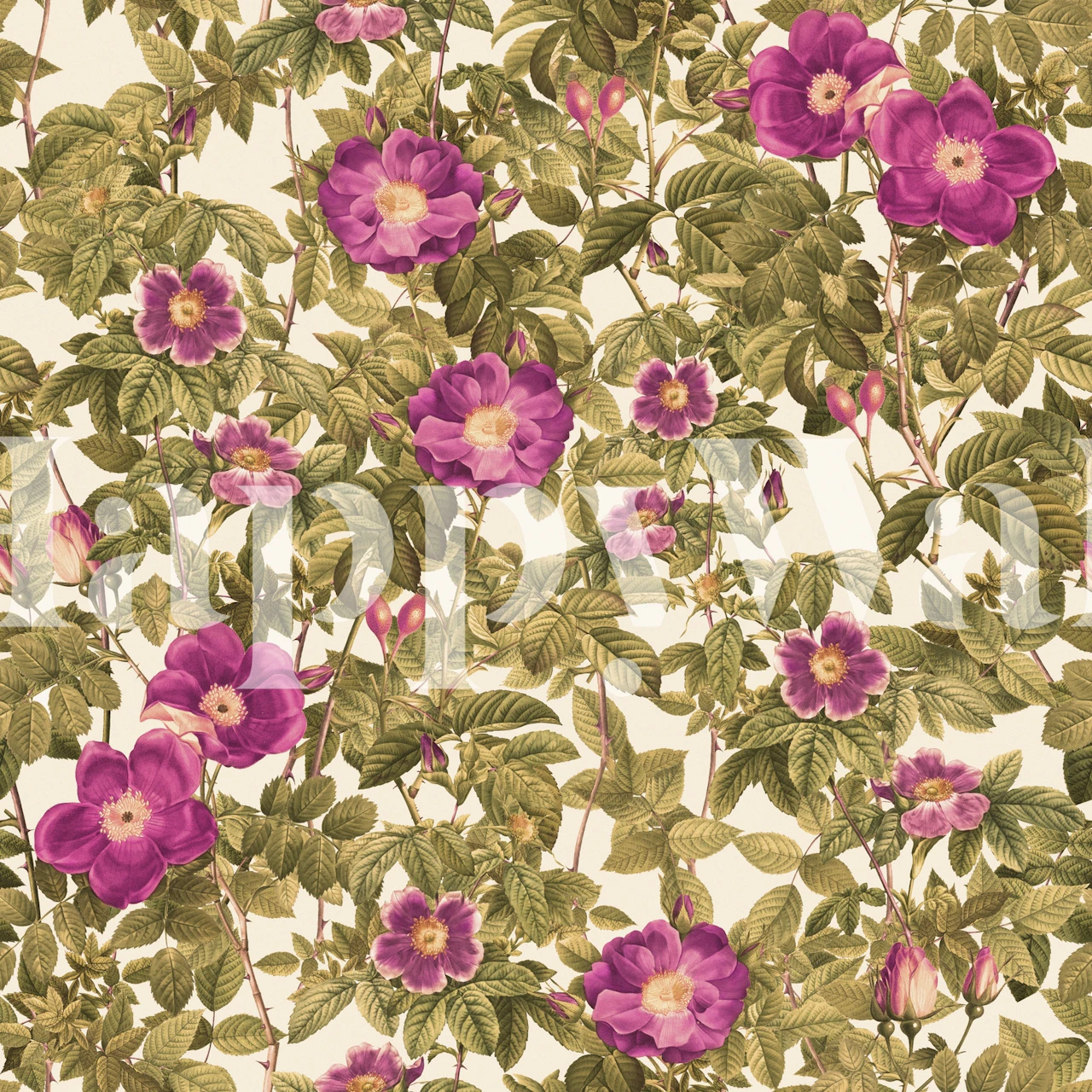 Tapeta Vintage Climbing Purple Roses u sobi