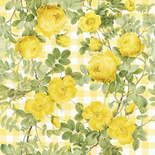 Vintage Summer Yellow Roses