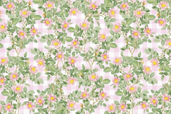 Vintage Pink Roses on Gingham