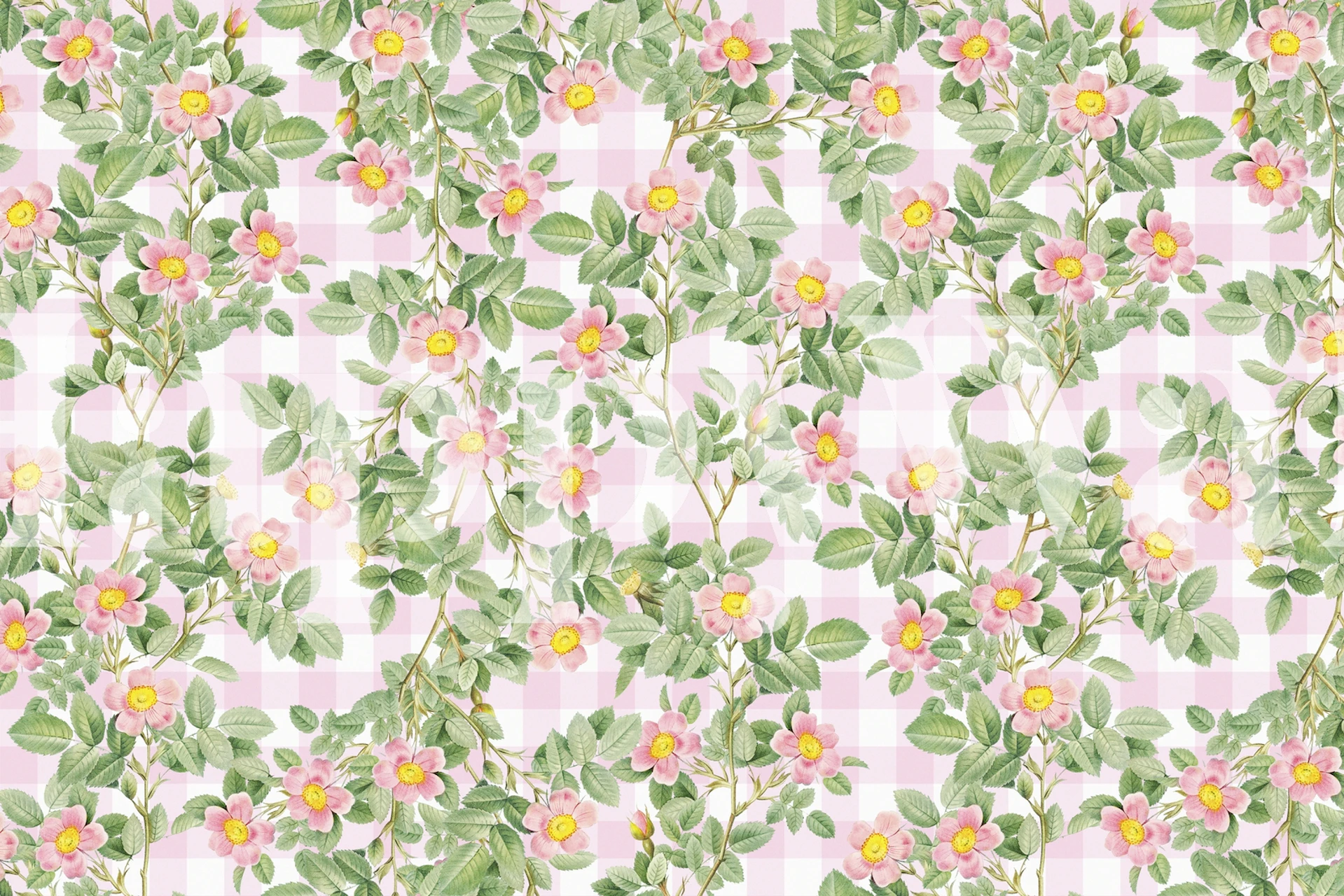 Pink roses with green leaves on a gingham background wallpaper