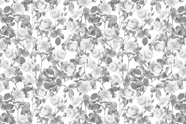 Monochrome White Vintage Roses