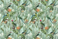 Tropical Parrots in the Jungle tapeta