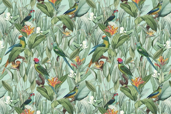 Tropical Parrots in the Jungle