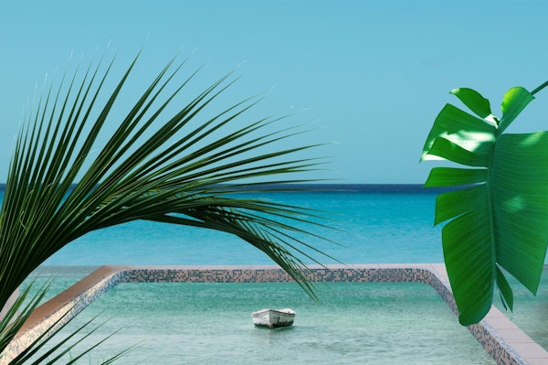 Pool Dream Infinity 1