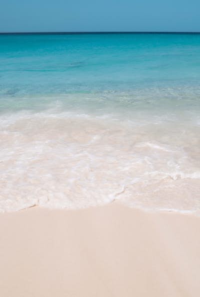 Τοιχογραφία