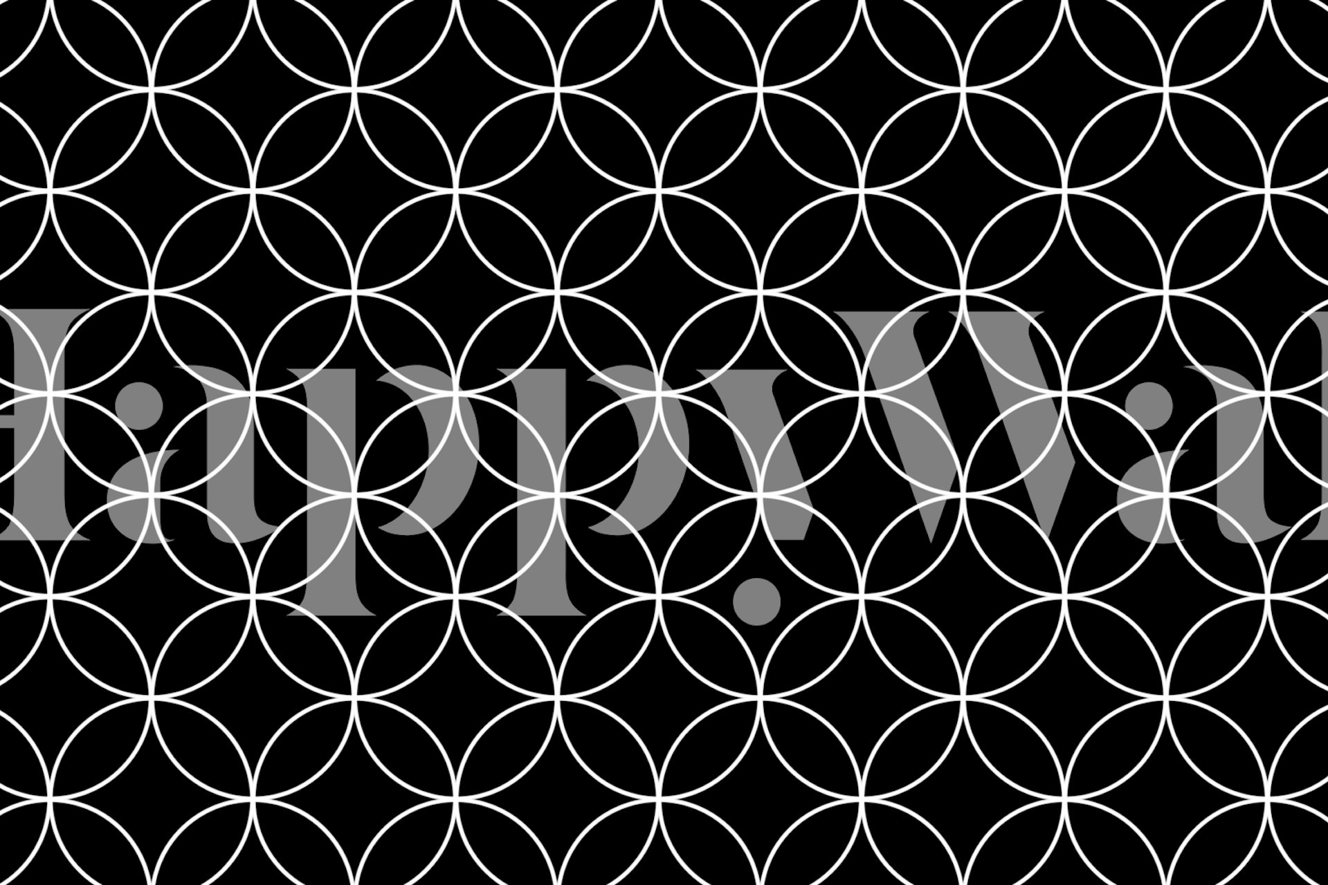 Fototapeten Monochromatische schwarz-weiße retro-kreise