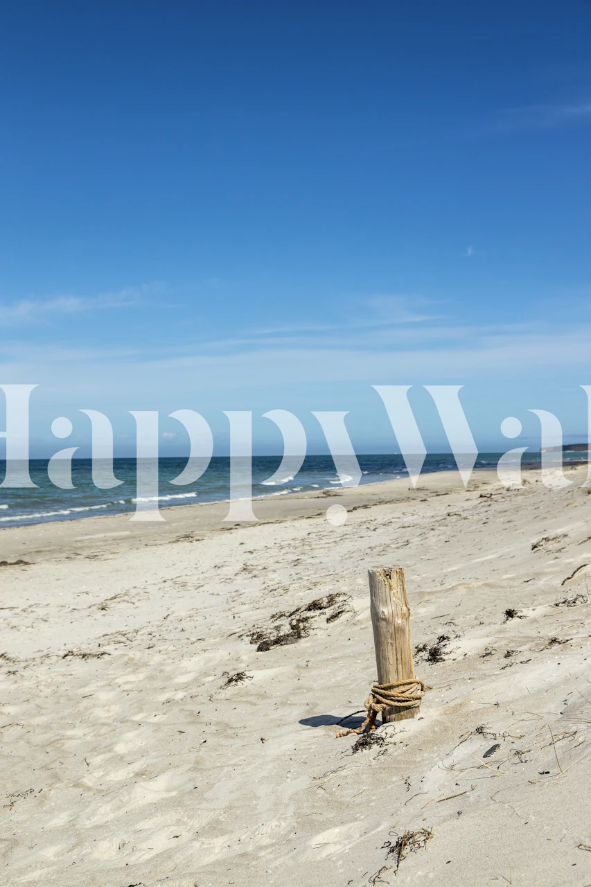 Beach wallpaper showing sandy shore and blue ocean