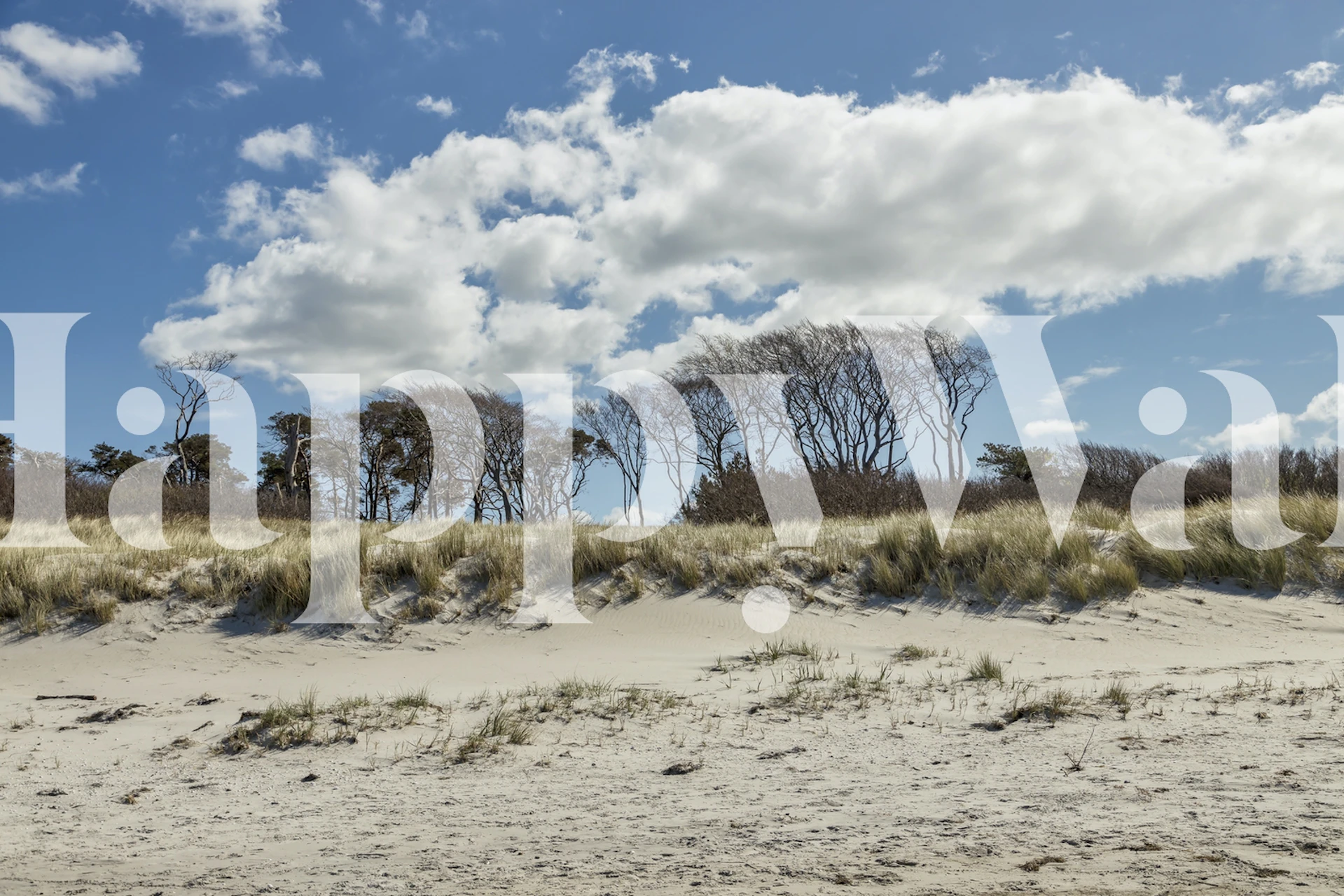 Baltic Sea Coast tapet i ett rum
