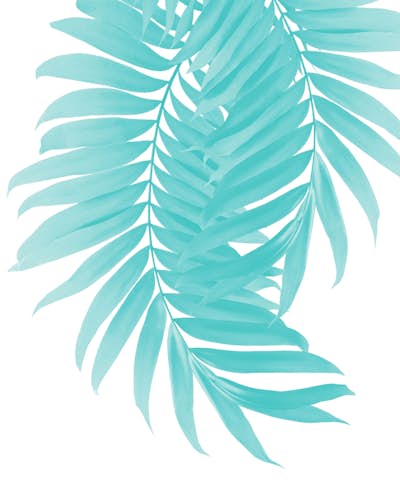 Τοιχογραφία