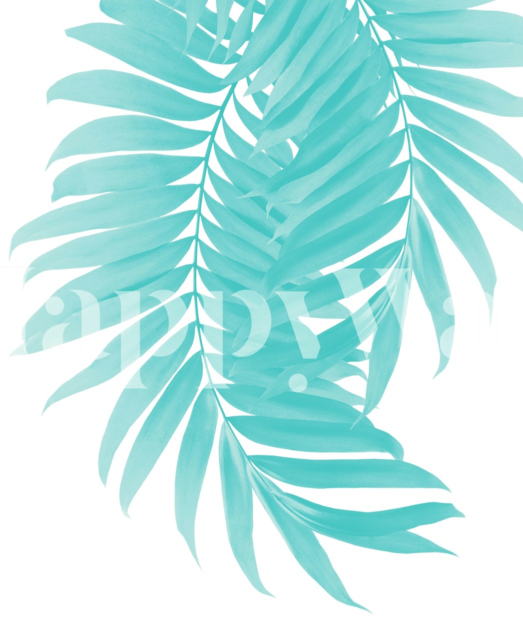 Tropical palm leaves in soft turquoise wallpaper