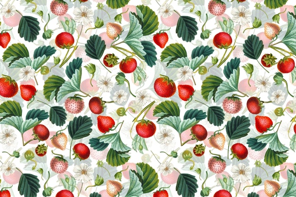 Vintage Strawberries Garden