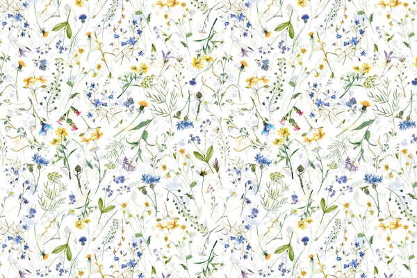 Summer Wildflower Meadow