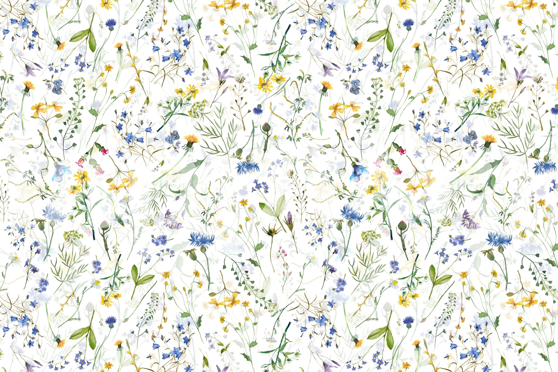 Papel de parede colorido verão Wildflower Meadow