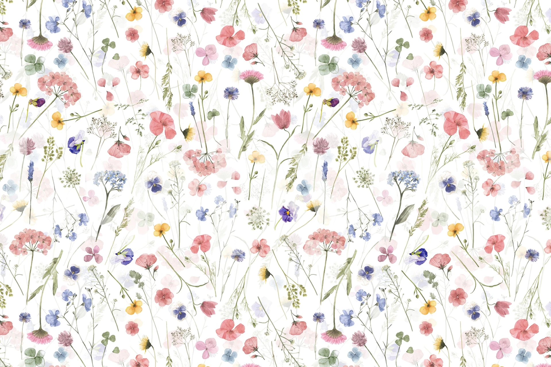 Dizajn tapete Summer Wildflowers Meadow u sobi