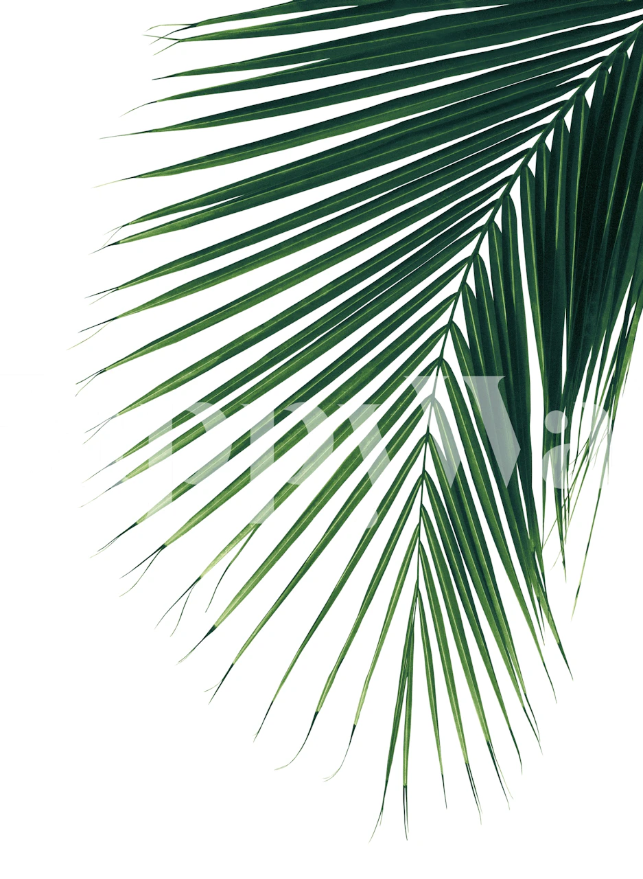 Minimal Palm Leaf Wallpaper v místnosti