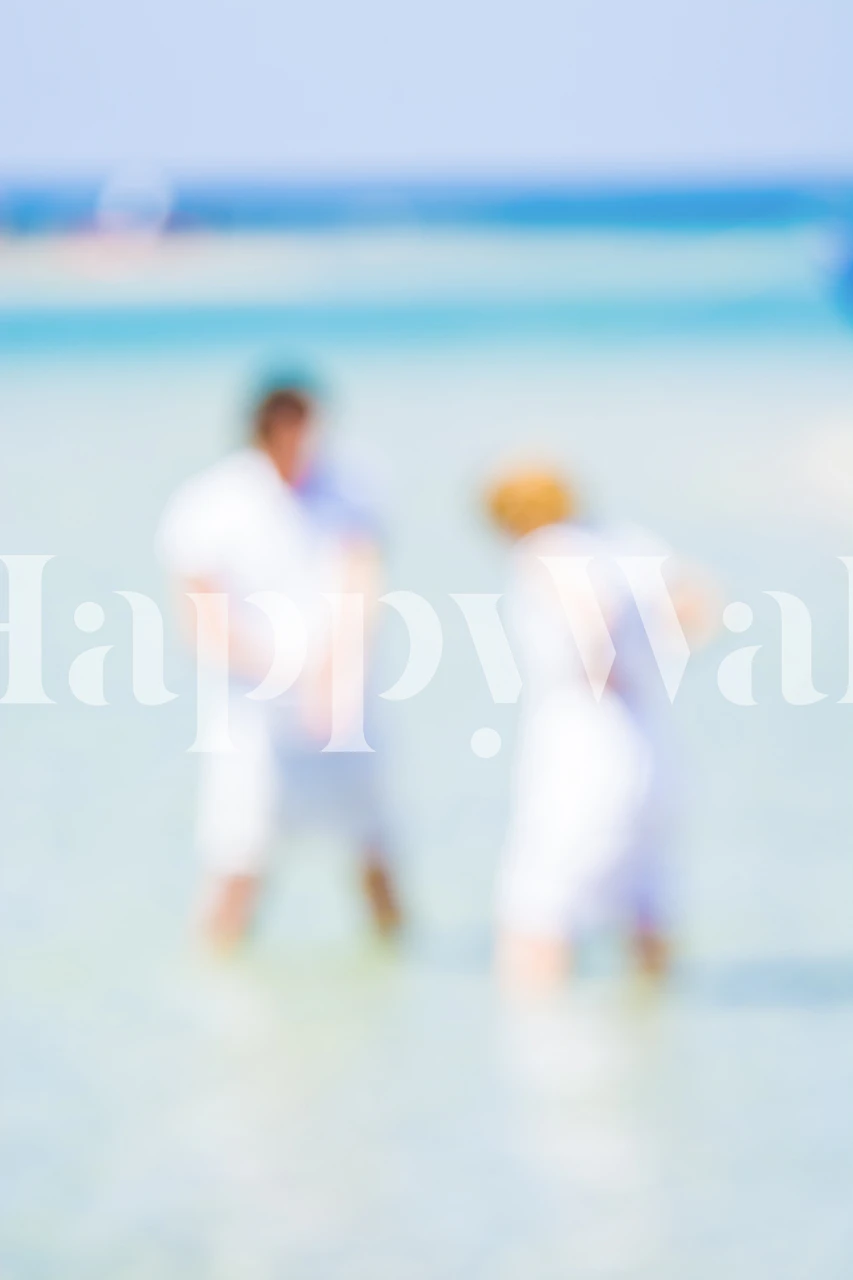 Blurry image of two people on a beach, Seaside 2017 23 wall mural