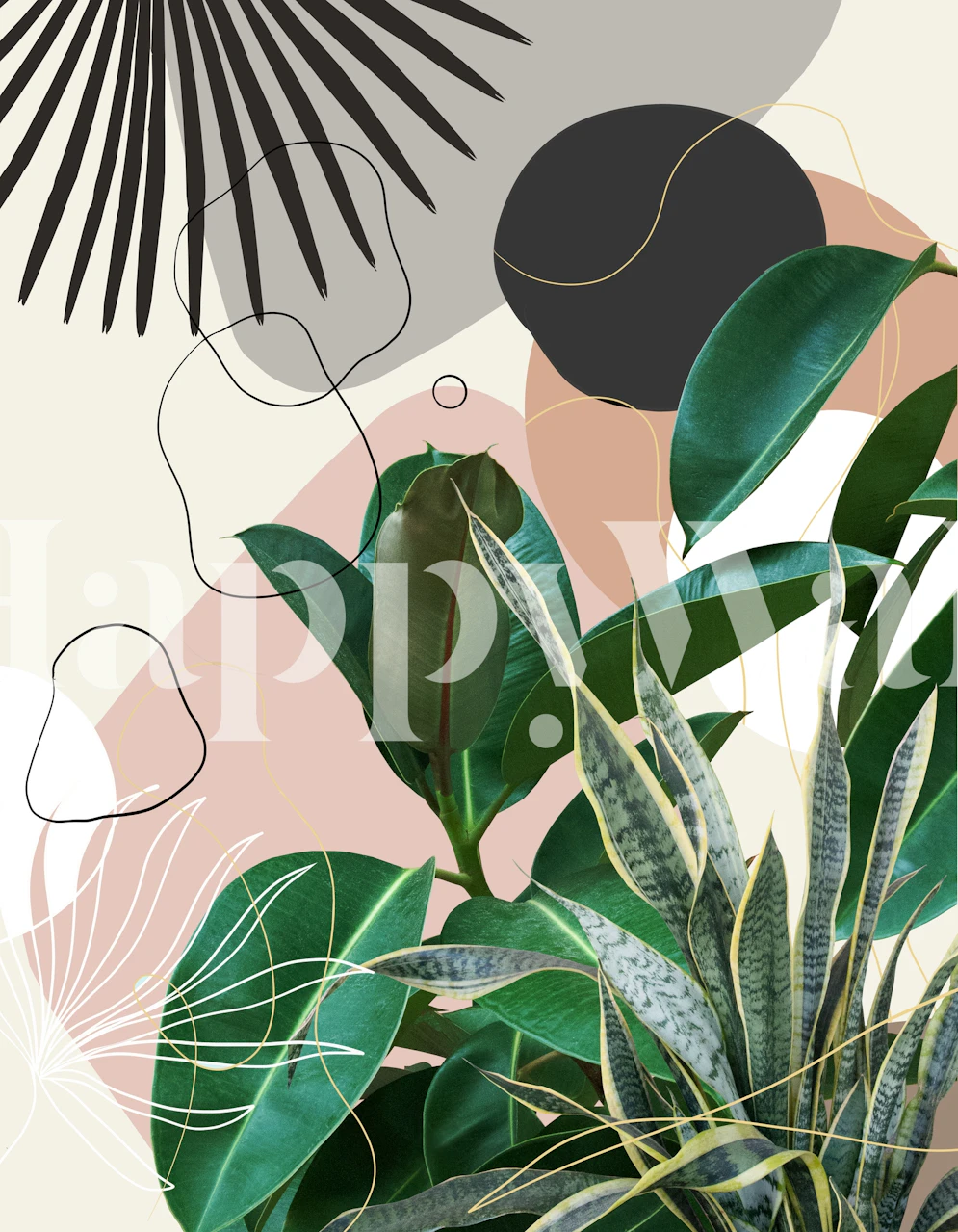 Ficus Snake Plant Fan Palm wallpaper in a room