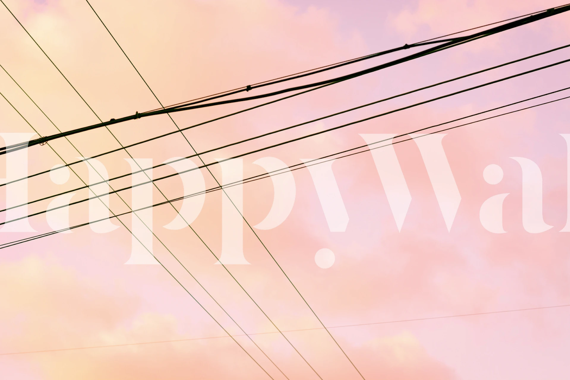 Pink abstract background with intersecting dark lines wallpaper