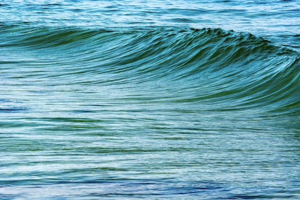 Uniqueness of Waves XIV