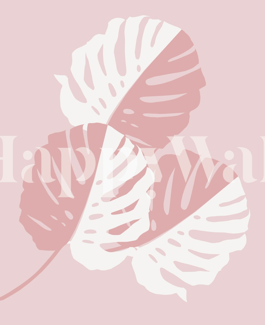 Vzory listů Monstera na růžovém pozadí fototapeta