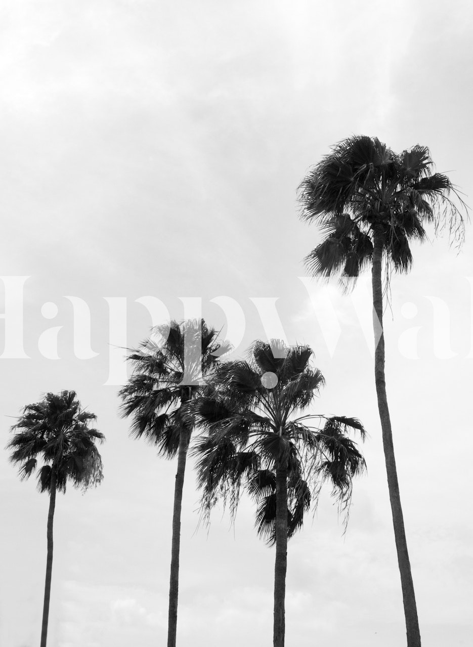 Papel de parede Palm Trees Delicado 1 em um quarto