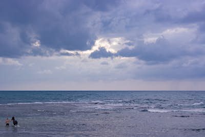 Τοιχογραφία