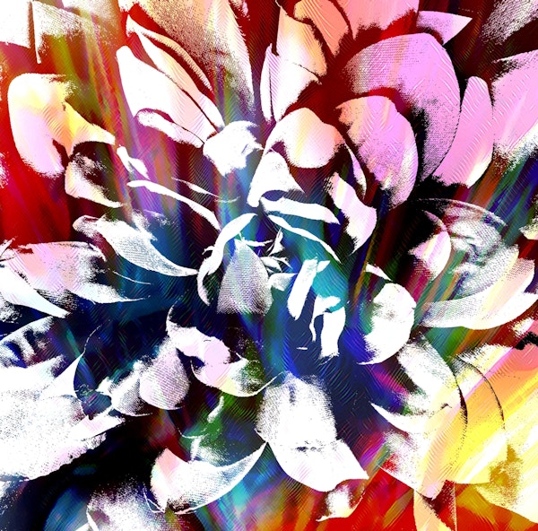 Flower Power Wallpaper