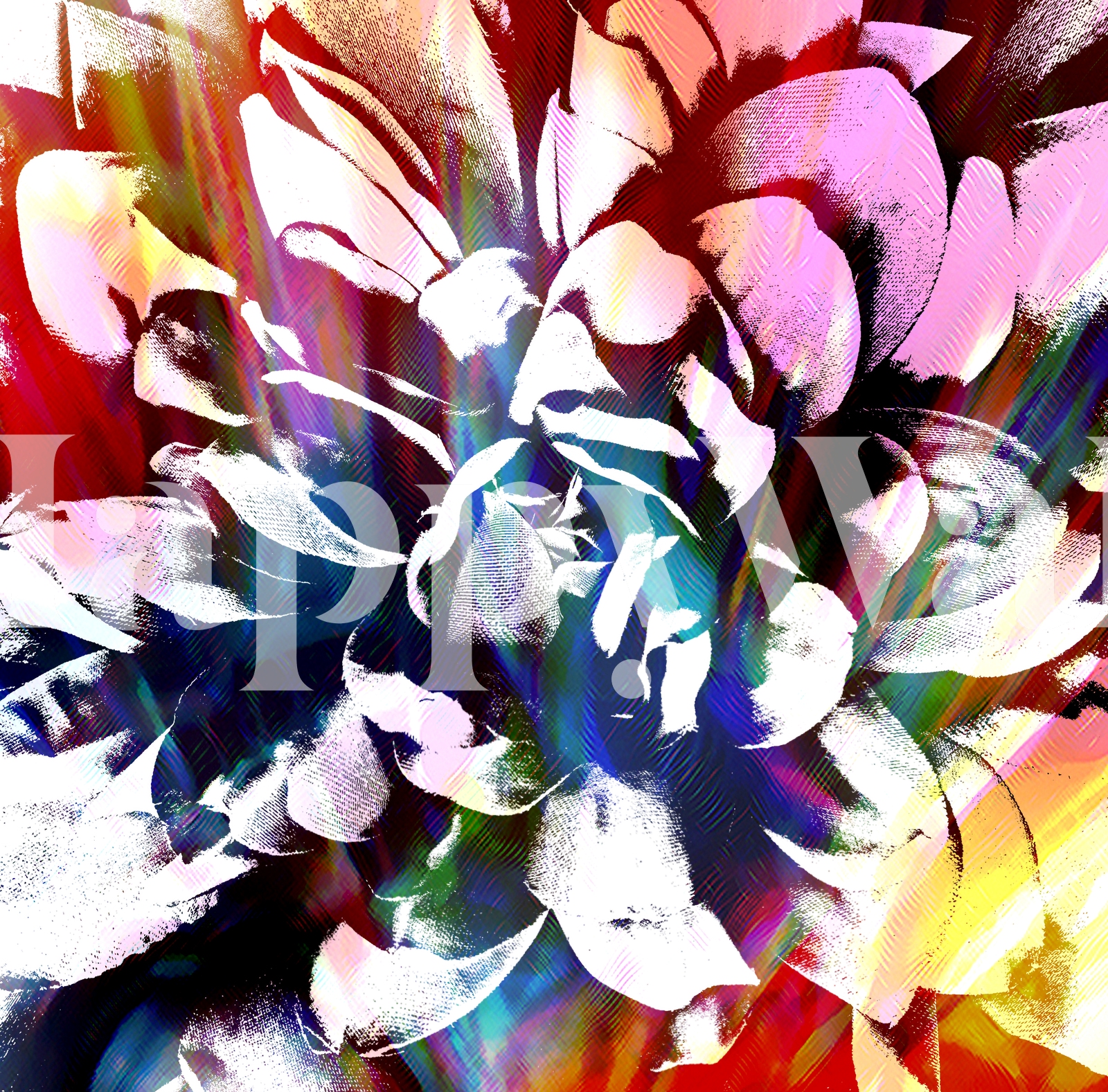 Buy Flower Power Wallpaper wallpaper - Free shipping