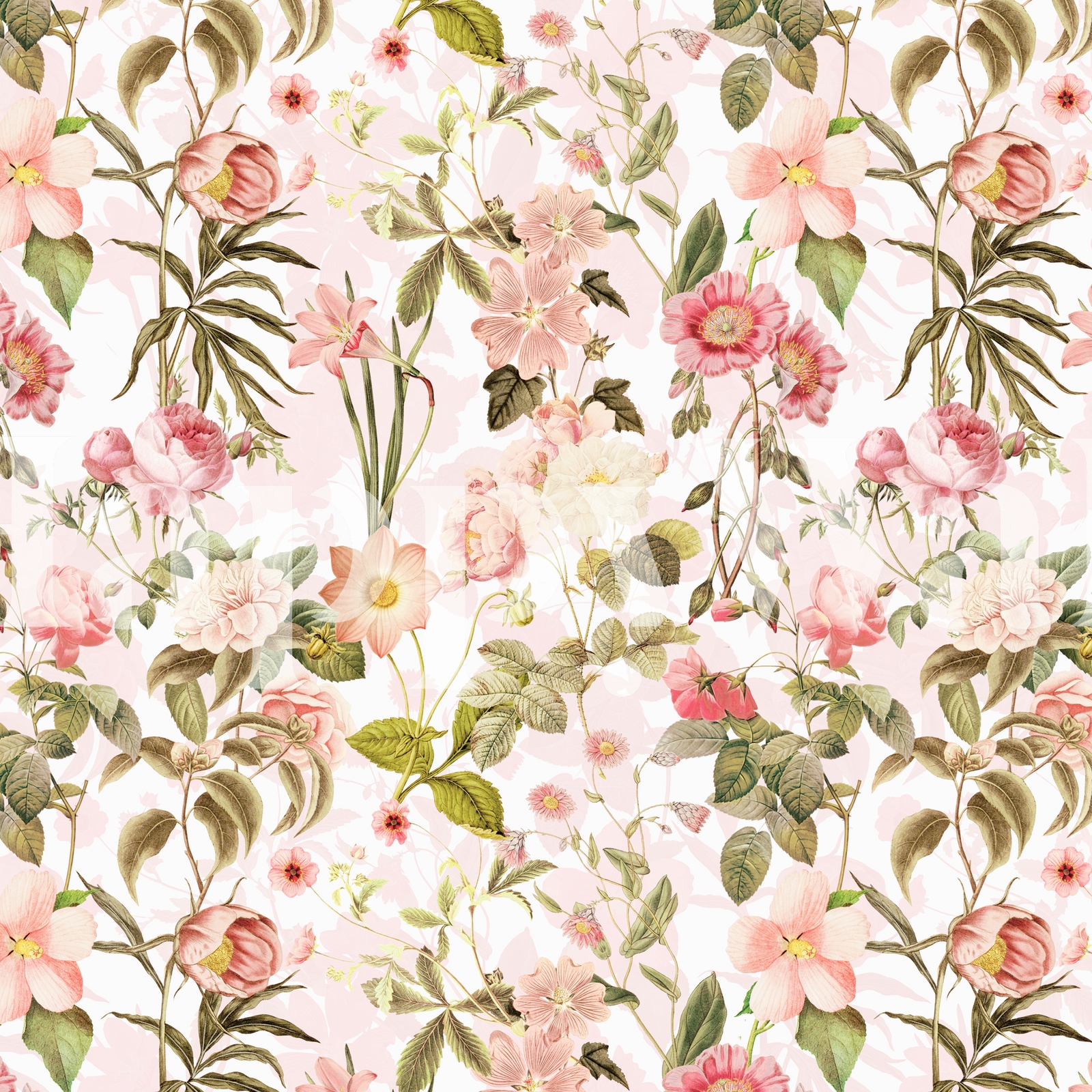 Buy Rose Blush Flower Pattern  wall mural Free US 