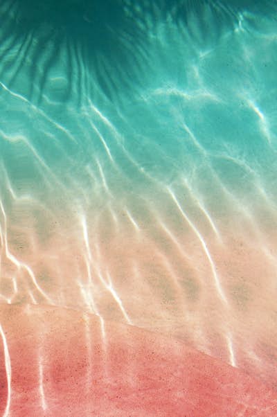 Τοιχογραφία