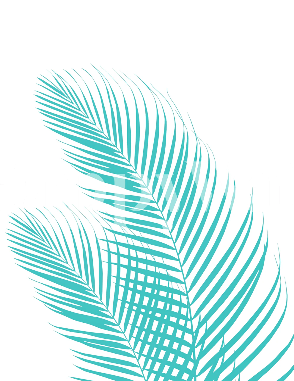 Turquoise palm leaves on a white background wallpaper
