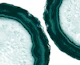 Teal Agate Glam 4
