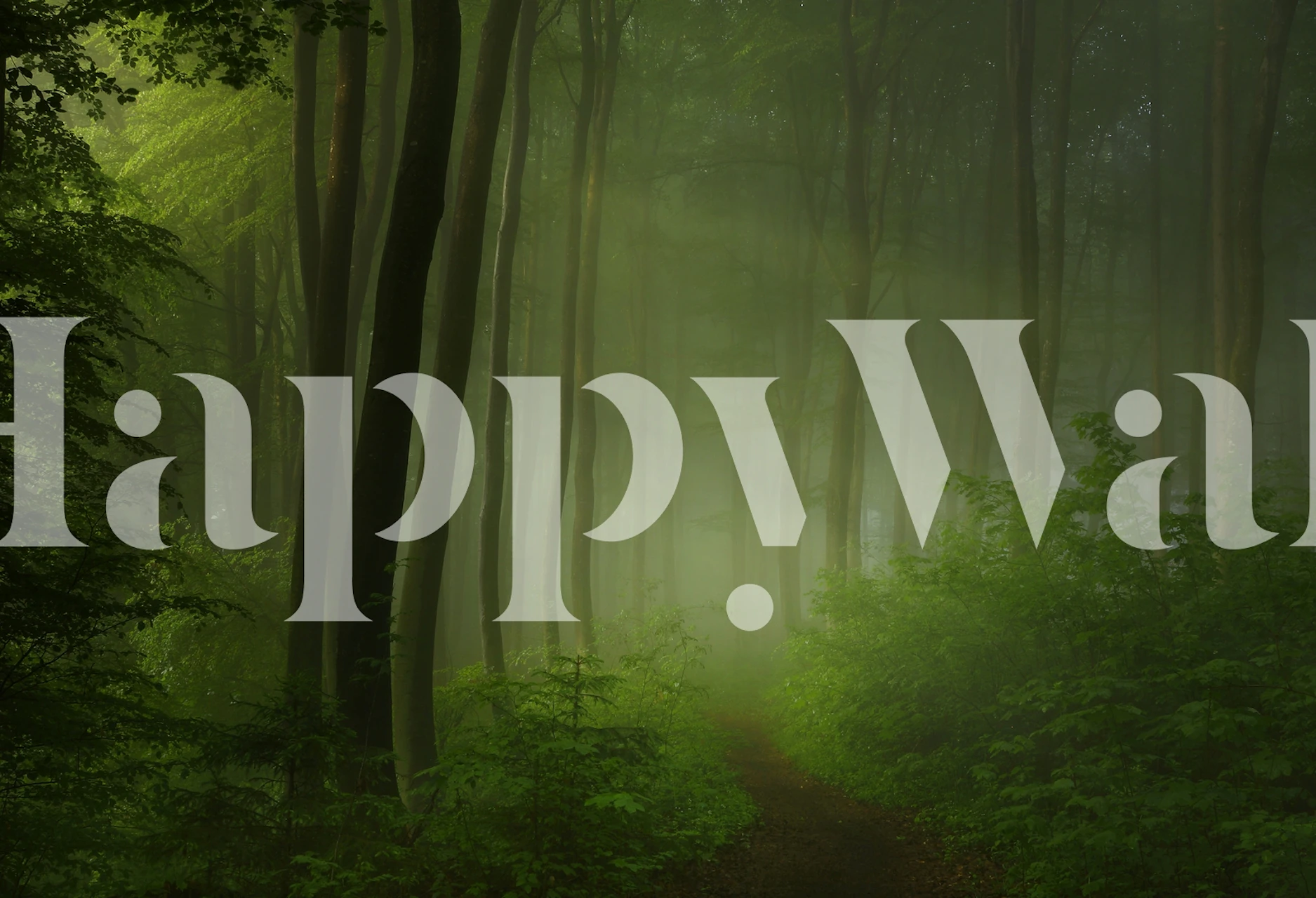 Misty forest wallpaper design