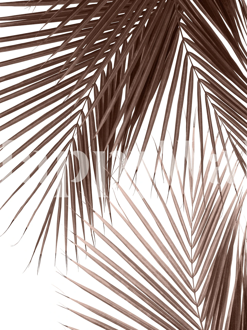 Tropical palm leaves wallpaper in a room