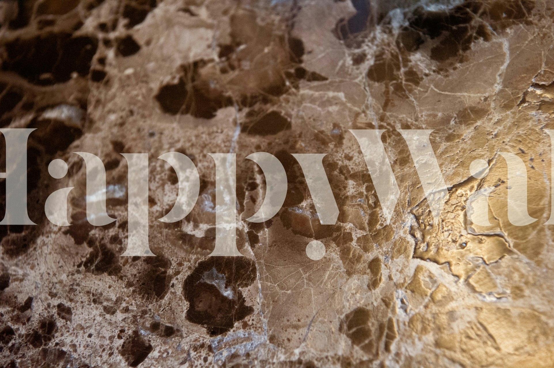 Wandbild „Brown Marble Delicado 1“ mit satten Brauntönen und filigraner Maserung