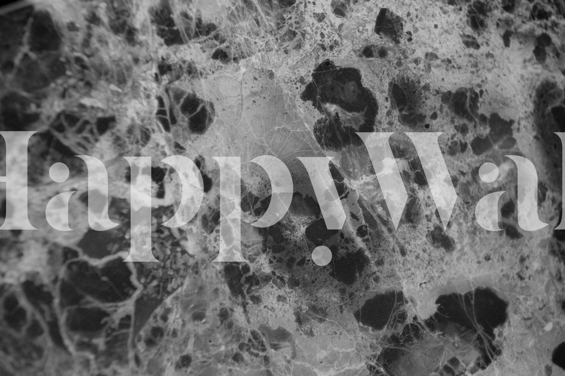 Τοίχος μωσαϊκό από μάρμαρο Gray και Black που απεικονίζει περίπλοκες φλέβες και μια ντελικάτη υφή.