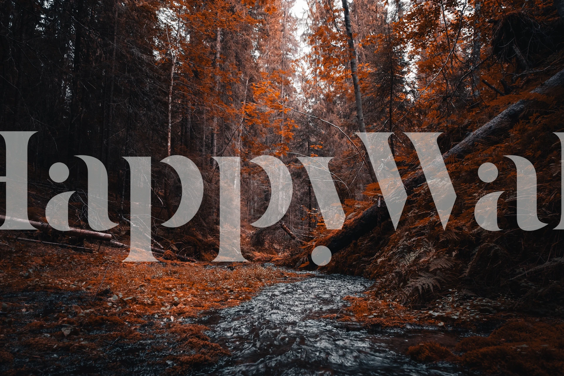 Autumn forest scene with orange foliage and a stream wallpaper