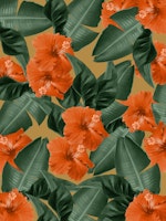Hibiscus Jungle Leaves Dream 3 tapete