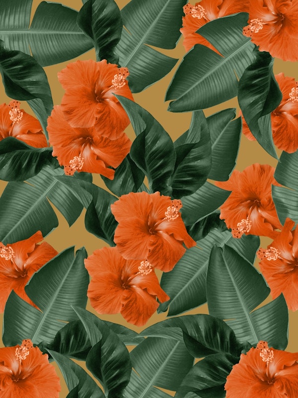 Hibiscus Jungle Leaves Dream 3