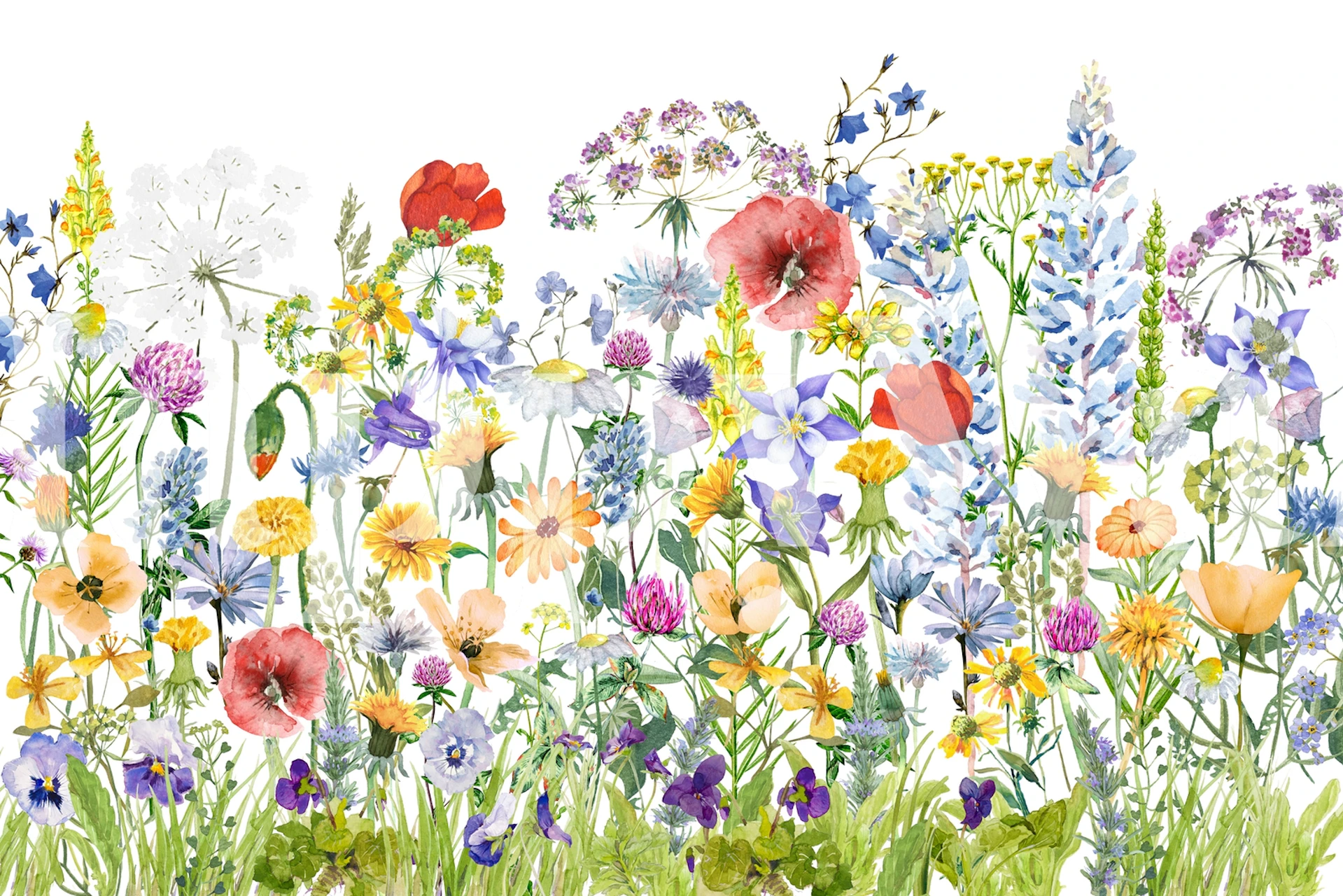 Scandinavian Wildflowers Garden vægmaleri med en række farverige blomster