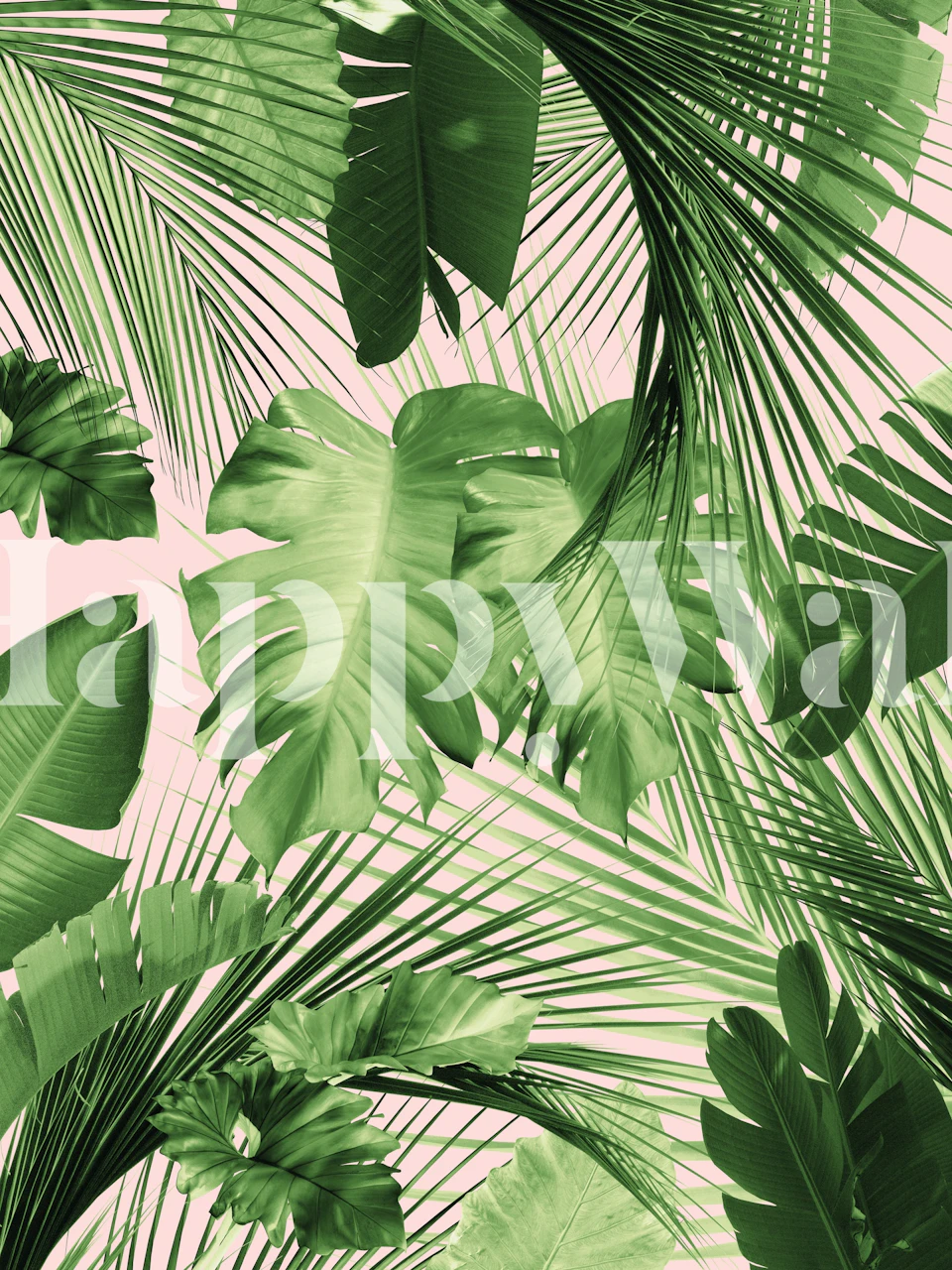 Tropical green leaf patterns on a pink backdrop wallpaper
