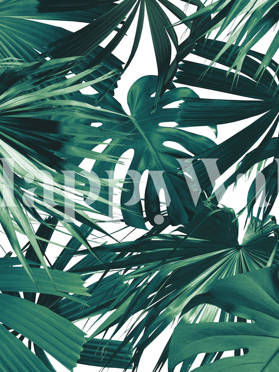 Tropical jungle wallpaper in a room setting