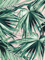 Fan Palm Jungle Dream 1 behang