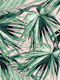 Fan Palm Jungle Dream 1