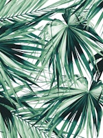 Fan Palm Jungle Dream 2 behang