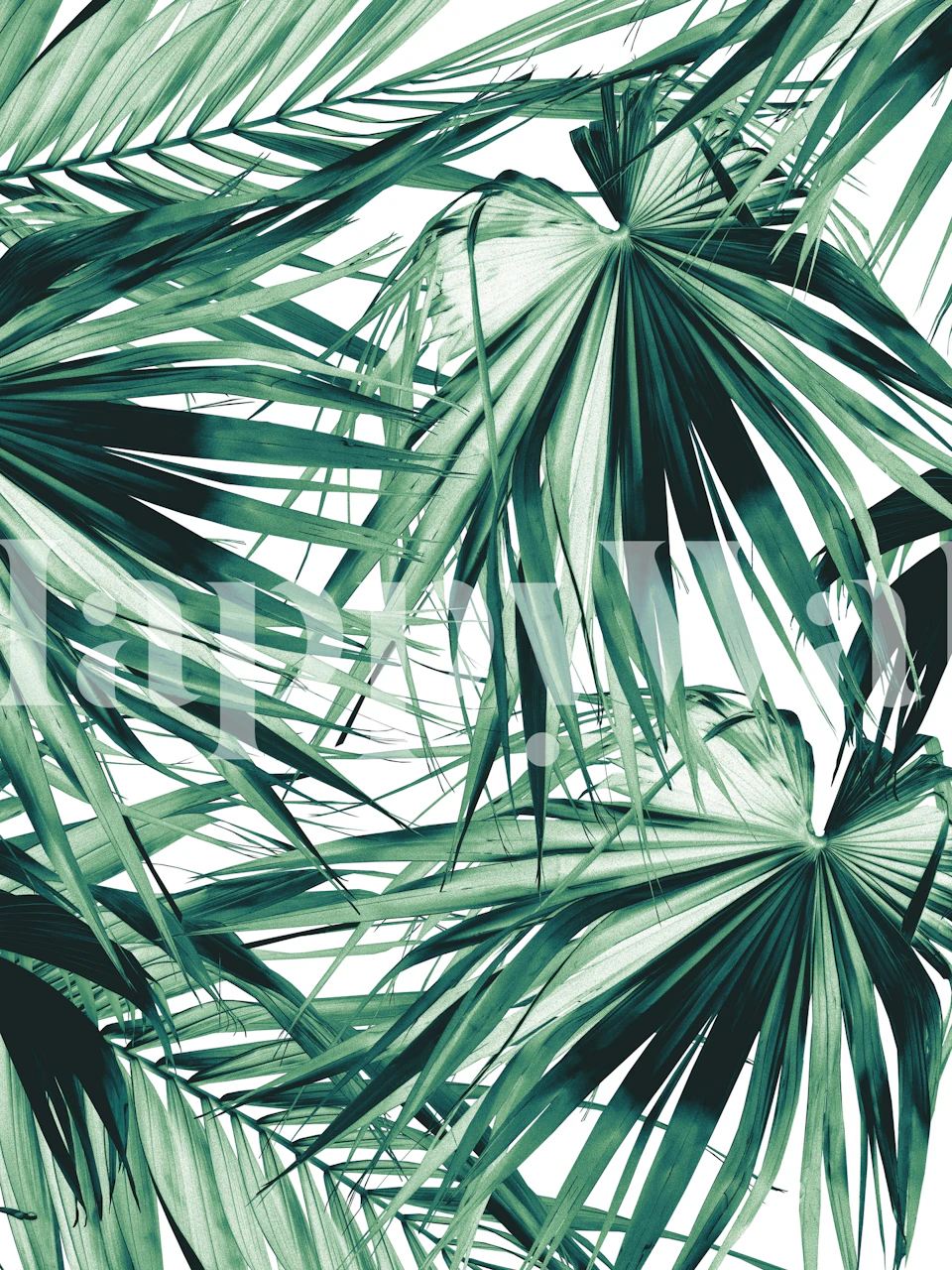 tapeta Fan Palm Jungle Dream 2 v místnosti