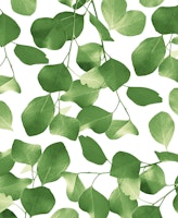 Eucalyptus Pattern 2 behang