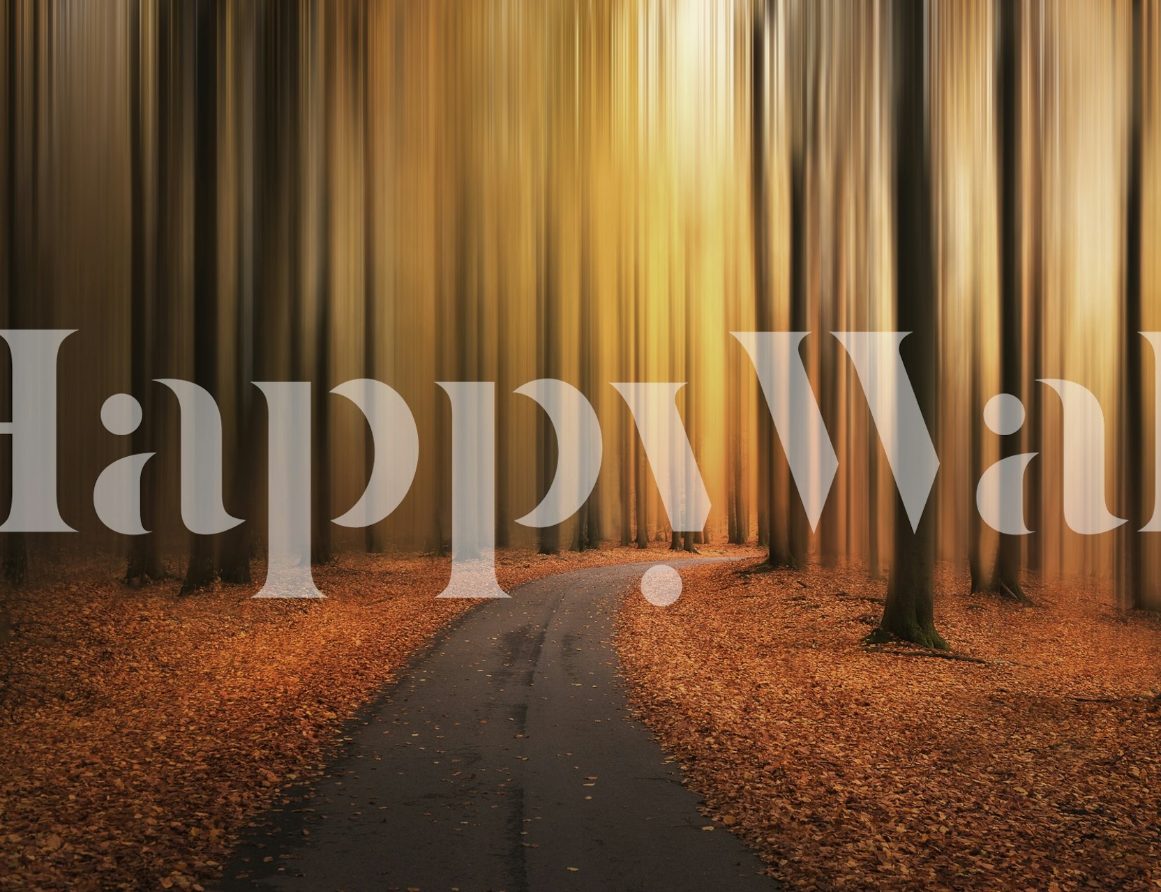 Path to unknown wallpaper in a room