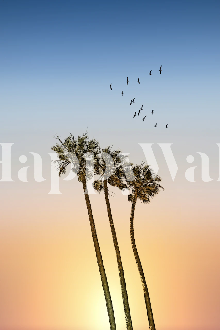 Palm trees and sunset wallpaper design